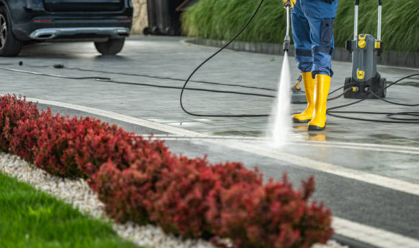 Best Animal Enclosure Cleaning  in Morrisville, VT